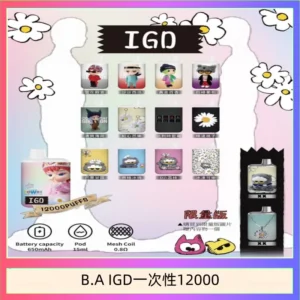 B.A IGD12000口